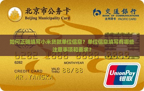 小米贷款单位信息怎么填
