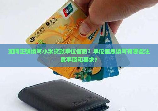 小米贷款单位信息怎么填
