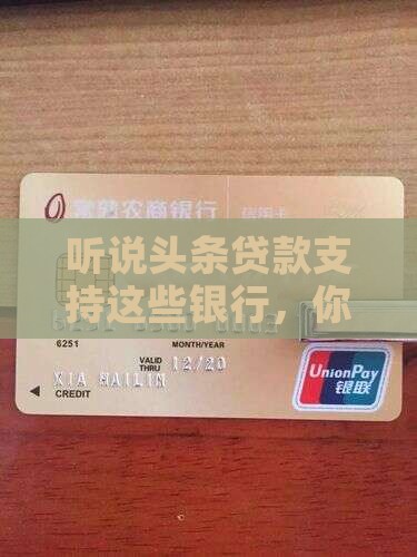 头条贷款支持哪些银行