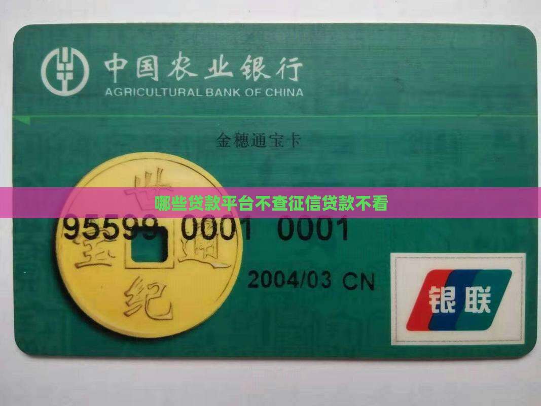 哪些贷款口子不查征信