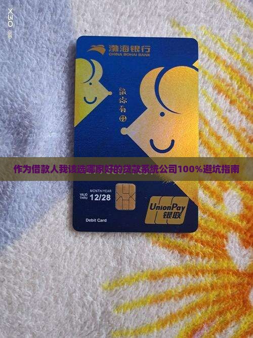 好的贷款系统公司 好的贷款系统公司