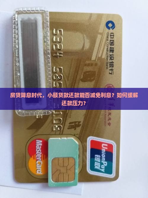 小额贷款还款减免利息吗