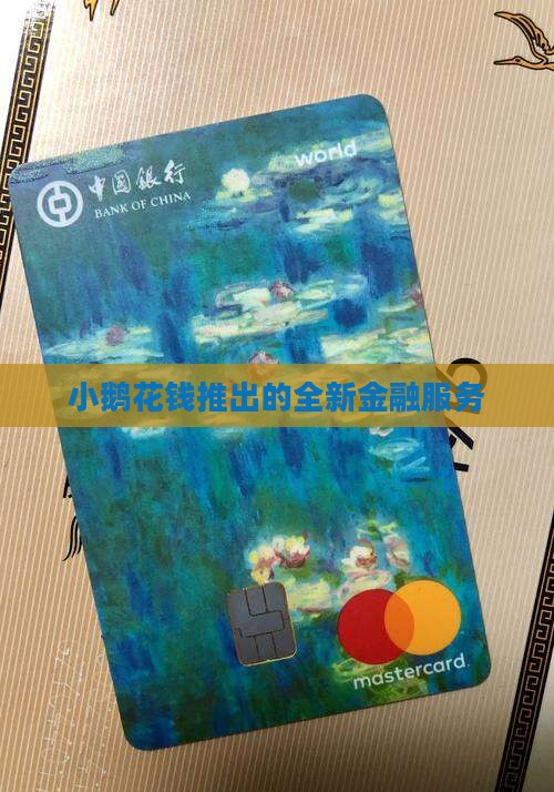 小鹅花钱还别的贷款