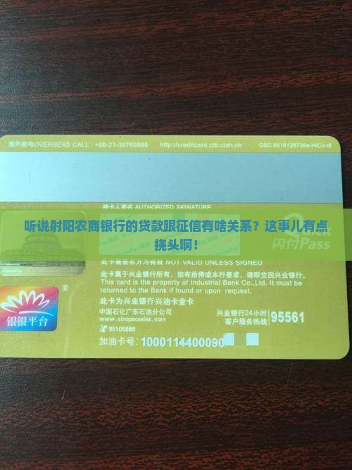 射阳农商银行贷款征信