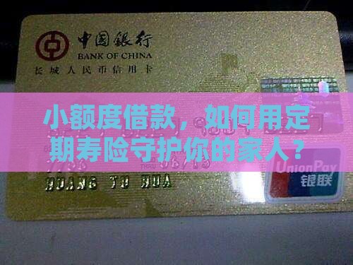 小额贷款借款人定期寿险