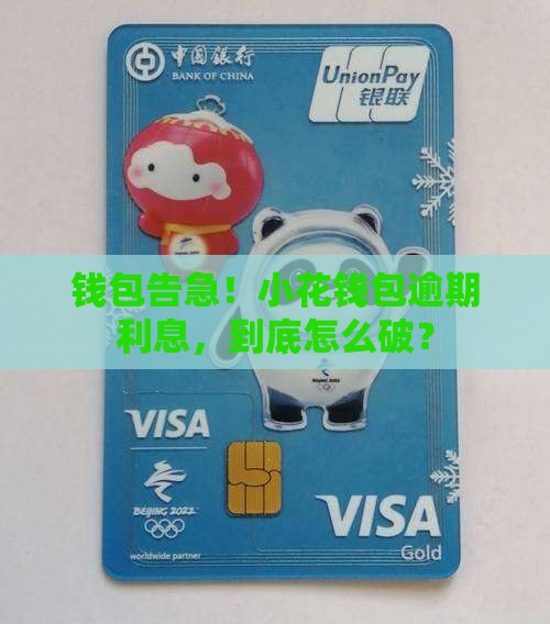 小花钱包贷款利息逾期