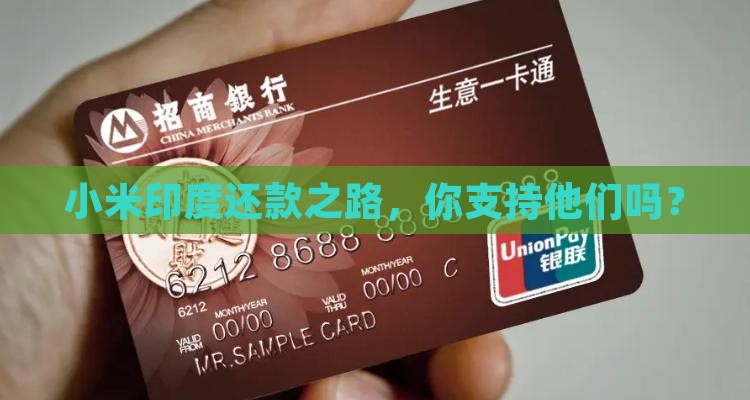小米印度贷款支付