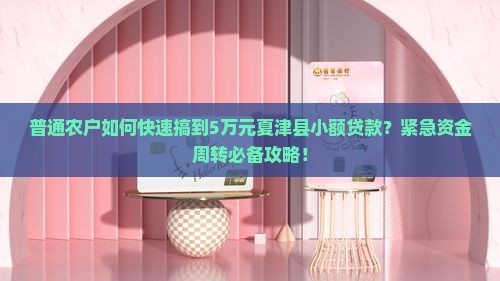 夏津县小额贷款