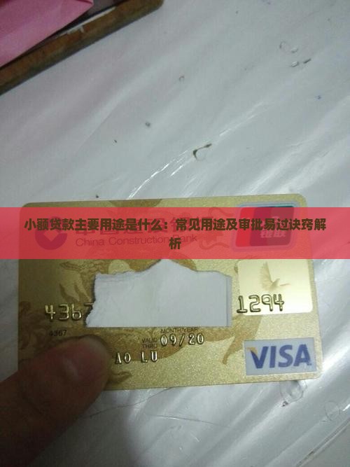 小额贷款主要用途是什么