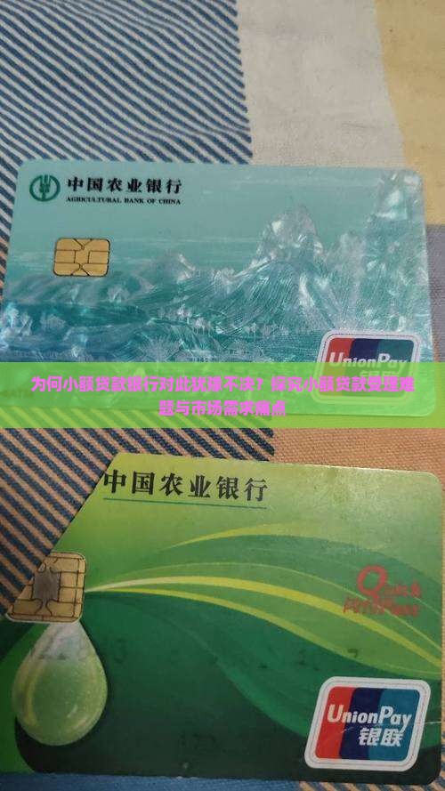 小额贷款银行受理吗