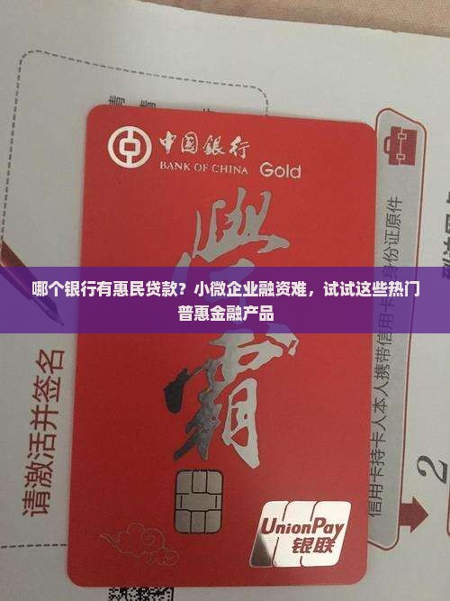 哪个银行有惠民贷款