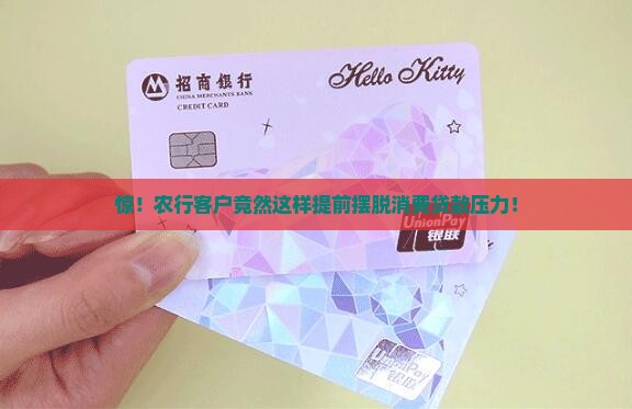 农行提前还消费贷款