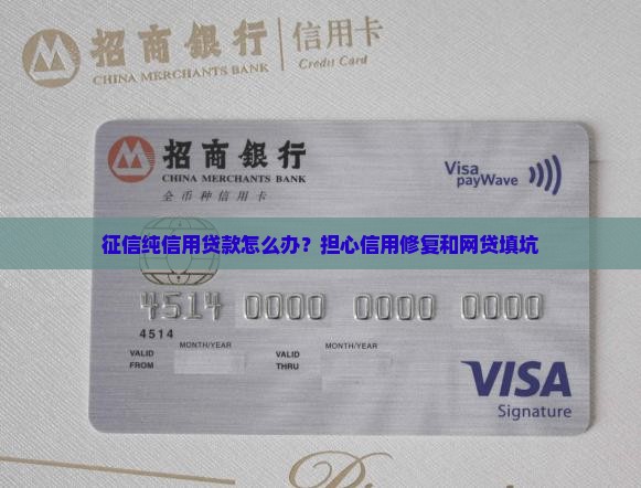 征信纯信用贷款怎么办