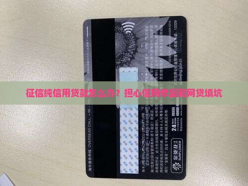 征信纯信用贷款怎么办