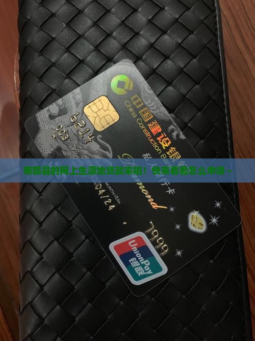 南部县网上生源地贷款