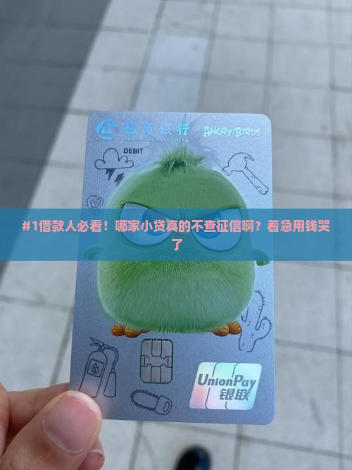 哪家小额贷款不看征信 哪家小额贷款不看征信