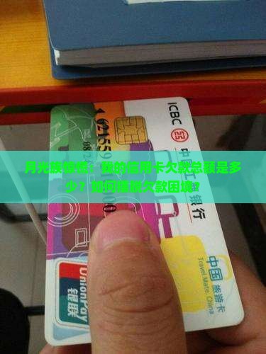 征信未结清贷款欠息总额