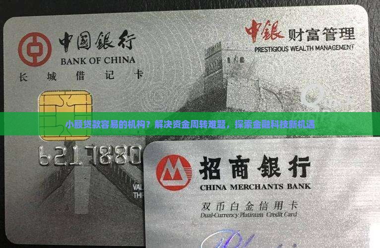 小额贷款容易的机构