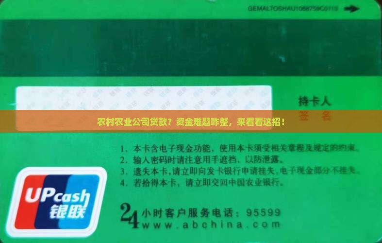农村农业公司贷款