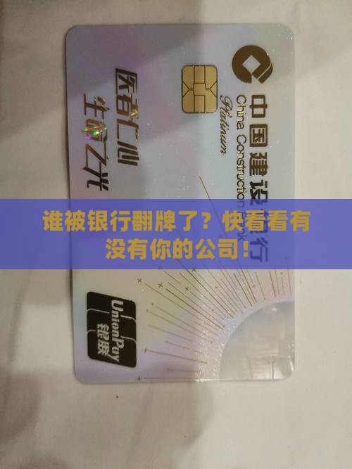 多家银行贷款给谁的公司