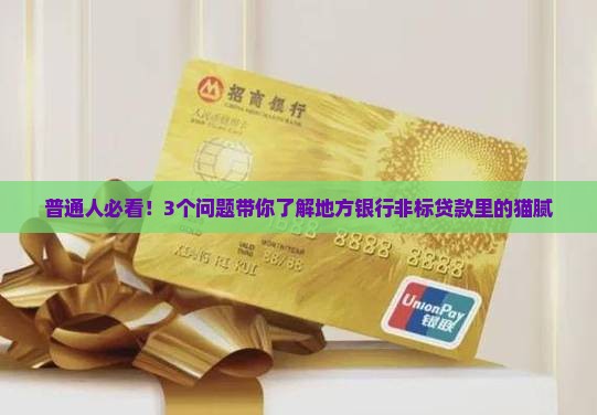 地方银行非标贷款啥意思