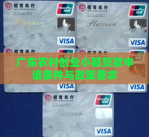 广东农村创业小额贷款