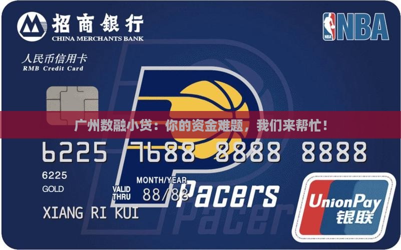 广州数融小额贷款