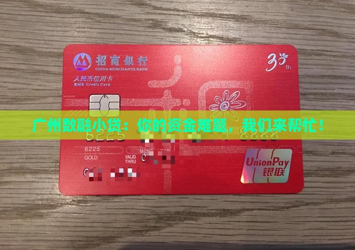 广州数融小额贷款