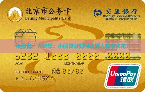 小额贷款属于