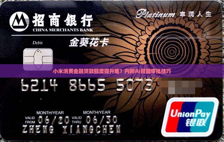 小米消费金融贷款额度
