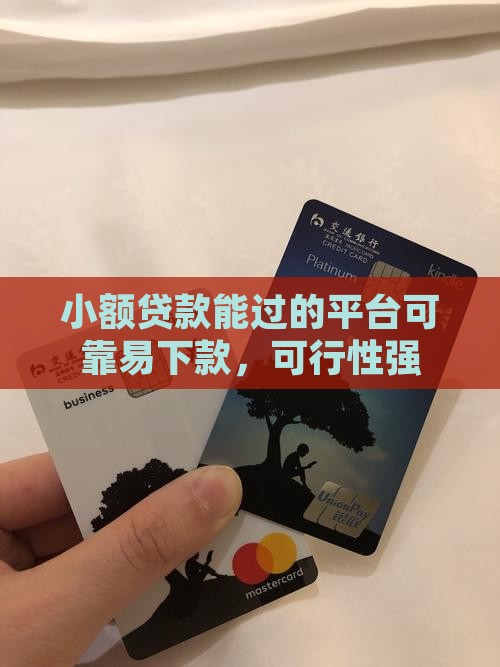 小额贷款能过的