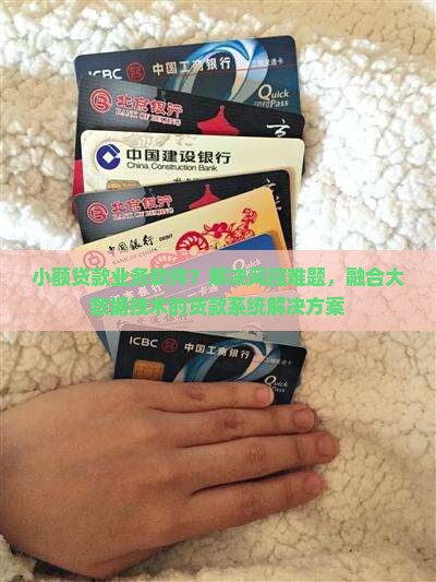 小额贷款业务软件
