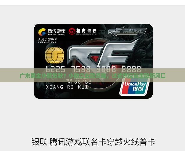 广东惠金小额贷款