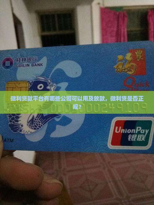 微利贷款平台有哪些公司