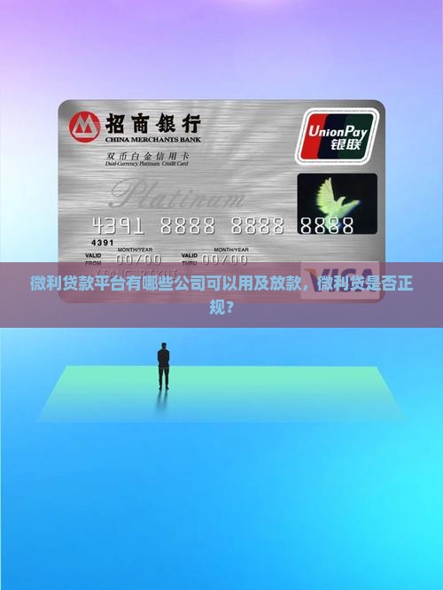 微利贷款平台有哪些公司