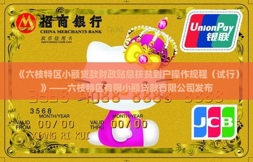 六枝市小额贷款