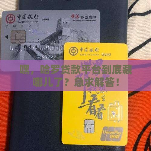 哈罗贷款平台在哪里