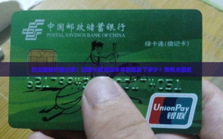妇联小额贷款半年总结