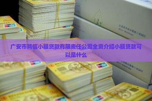 广安小额贷款可以介绍吗
