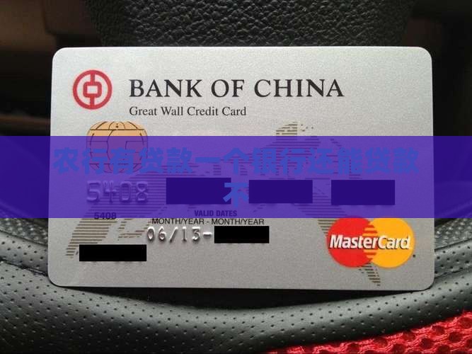 农行有贷款别的银行还能贷款不