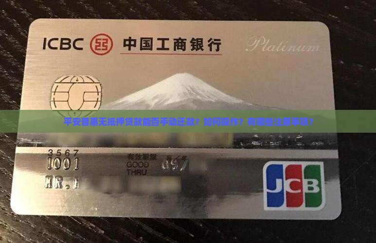 平安普惠无抵押贷款能手动还款吗