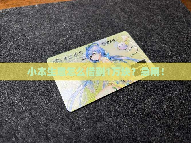 在哪里能借出小额贷款