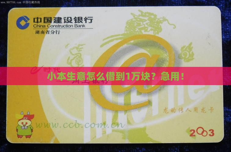 在哪里能借出小额贷款