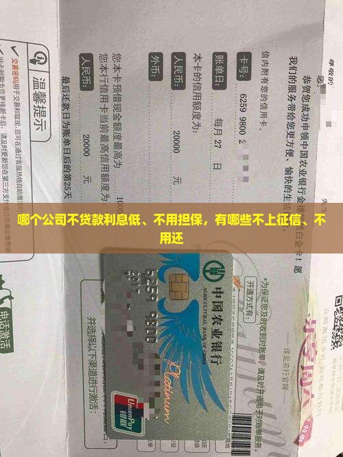 哪个公司不贷款