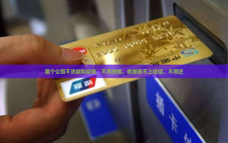哪个公司不贷款