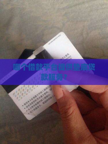 哪个平台能垫底贷款呢