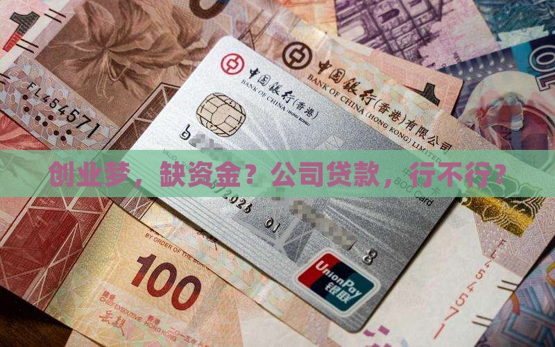 可以公司贷款么