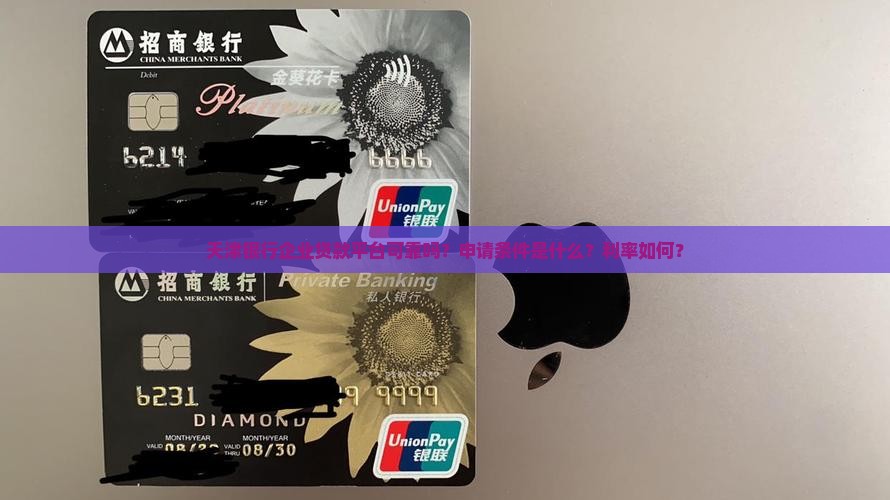 天津银行企业贷款平台
