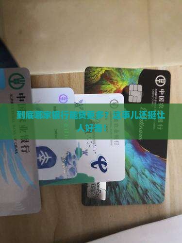 哪家银行可以贷款比较多