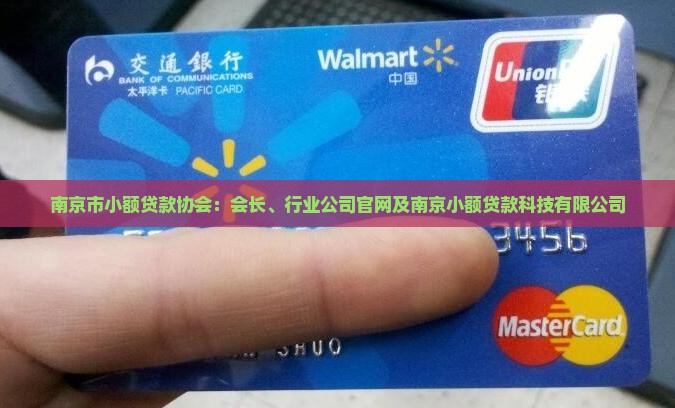 南京市小额贷款协会